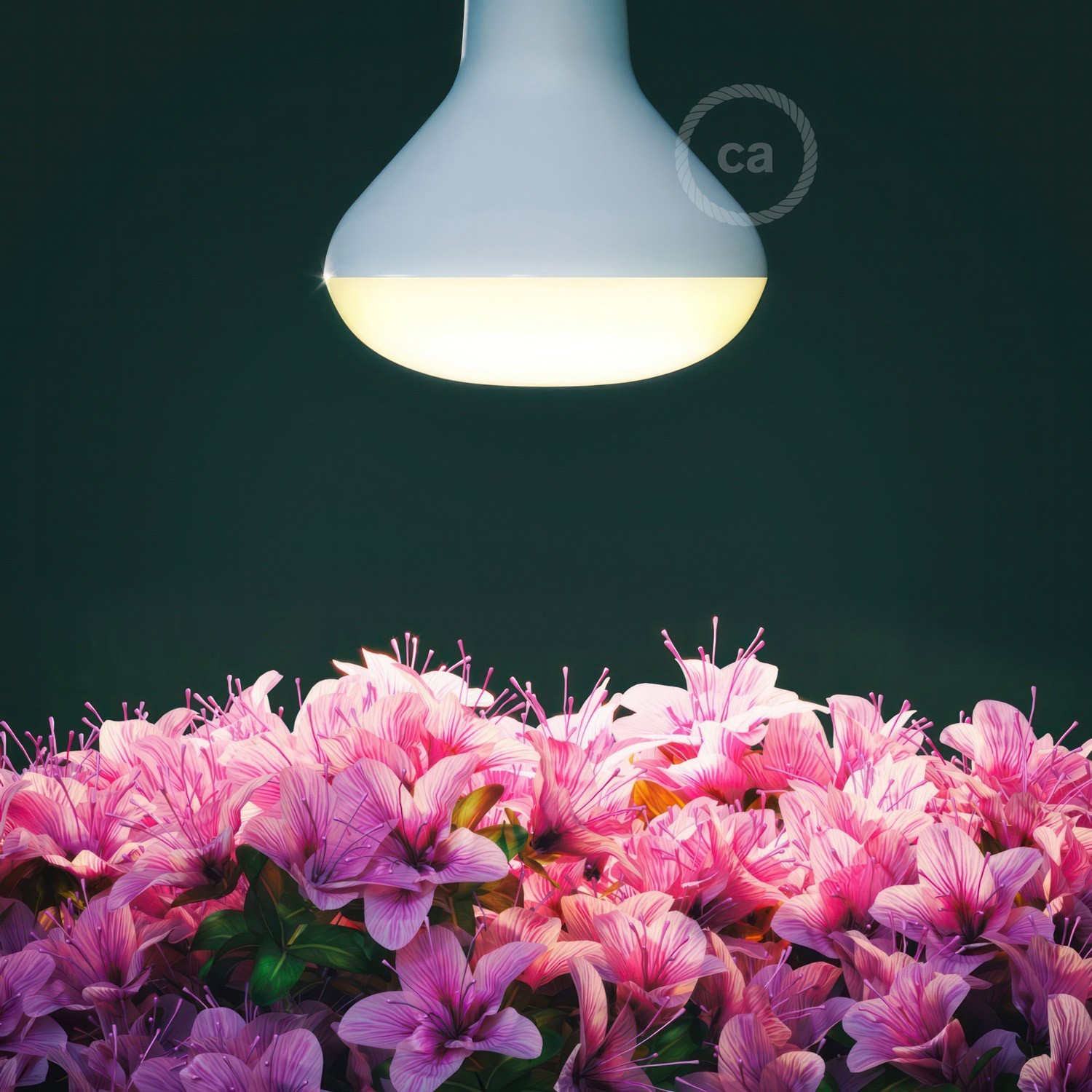 Ampoule LED Floraison 12W E27