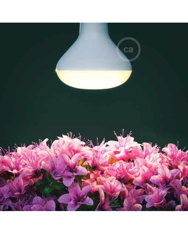 Ampoule LED Floraison 12W E27