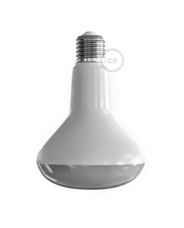 Ampoule LED Floraison 12W E27